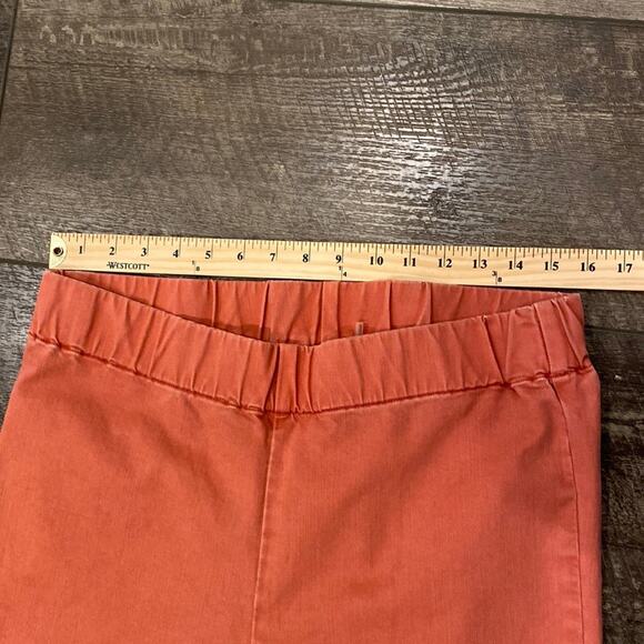 SOFT SURROUNDINGS Metro Burnt Orange Pull On Skinny Pants Medium Petite - Picture 4 of 5